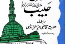 شان حبیب 13 Shan-e-Habib (S.A.W)