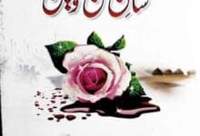 شان حسن و حسین علیہؓ 14 Shan-e-Hasan o Hussain