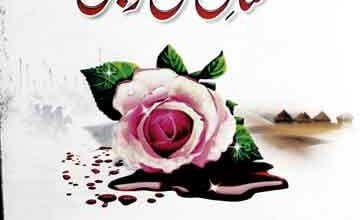 شان حسن و حسین علیہؓ 3 Shan-e-Hasan o Hussain