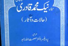 شفاء الملت حضرت میاں نیک محمد قادری نوشاہی حالات و آثار 14 Shifa ul Millat