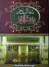 Shifa-ul-Saqim Fi Ziarat Kher-ul-inaam