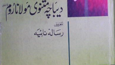 شرح دیباچہ مثنوی مولانا روم المعروف رسالہ نائیہ ترجمہ از محمد نذیر رانجھا 5 Sharah Dibacha