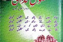 کشکول گدائی (نعتیہ مجموعہ) 16 Kashkol-e-Gada