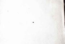 Persian Poets of Sindh