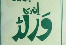 سپر مین ان دی ورلڈ 17 Super Man in the World