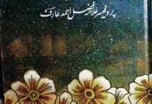 سیرت بایزید 3 Seerat Bayazeed