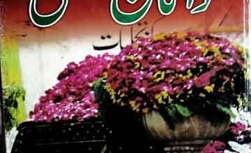 Seerat Hazrat Ali Hajweri