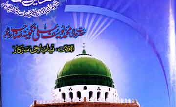 سیرت نگینہ رسول : سوانح حیات محمد یوسف علی نگینہ صاحب المعروف بابا جی سرکار 2 Seerat-e-Nageenah