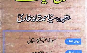 سوانح حیات حضرت مولانا سید احمد شاہ بخاری 5 Sayyed Ahmed Shah Bukhari