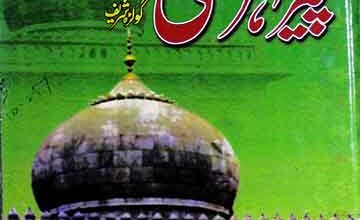 سوانح حیات خواجہ پیر مہر علی شاہؒ دربار عالیہ گولڑہ شریف 3 Peer Meher Ali Shah