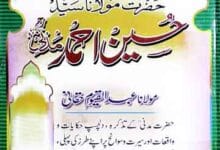 سوانح حضرت مولانا حسین احمد مدنی 10 Sayyed Hussain Ahmed Madni