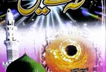 طہٰ تے یٰس (پنجابی نعتوں کا مجموعہ) 12 Taha Te Yaseen