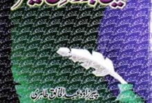 تاریخ بزرگان کشمیر (حالات علماء و مشائخ کشمیر) 2 Tareekh-e-Bazurgan-e-Kashmir