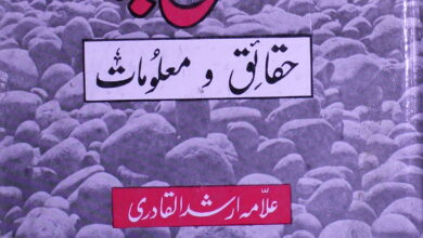 تبلیغی جماعت حقائق و معلومات 3 Tablighi Jamaat