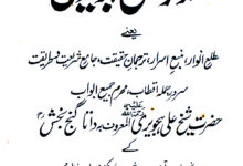 Tazkira-e-Ali Hajveri