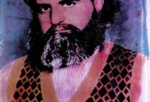 Tazkira-e-Nizam u Deen Mahmoodi