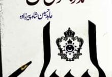 تذکرہ سنوسی مشایخ 9 Tazkira Sanosi Mashaikh