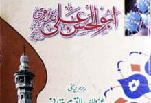 تذکرہ و سوانح مفکر اسلام حضرت مولانا سید ابوالحسن علی ندوی 16 Abu Hasan Ali Nadvi
