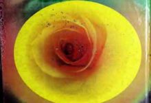 تحفہ خواتین 11 Tohfa Khawateen