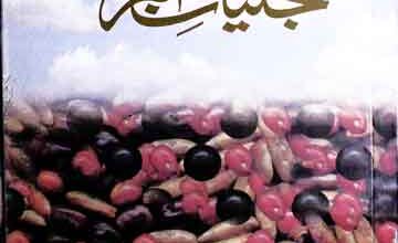 تجلیات اکبر (حضرت جلال الدین اکبر کے حالات زندگی و کلام) 4 Tajalliat-e-Akbar