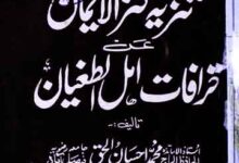 تنزیہ کنزالایمان عن خرافات اہل الطغیان 14 Tazkia Kanzul Aiman