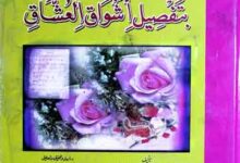 تزیین الاسواق بتفصیل اشواق العشاق، مرتبہ ایمن عبدالجابر البحیری 13 Tazeen-ul-Aswaq