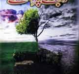 وہ جو مر کے زندہ ہوئے 14 Wo Jho Mar ky Phar Zanda Hoay