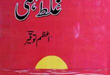 Choti Si Ghalat Fahmi