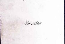 وادی سندھ کی تہذیب 9 Wadi Sindh Ki Tahzeeb