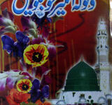 Walwala Angeez Khushbuin