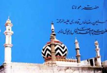 Wasaya Shareef