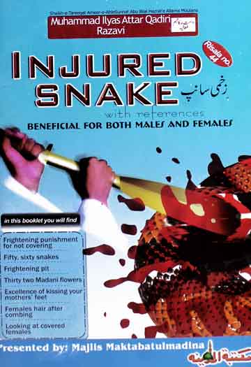 Injured Snake