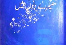 Zindagi Mere Dino Main