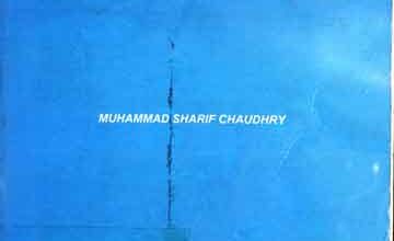 A model Islamic constitution