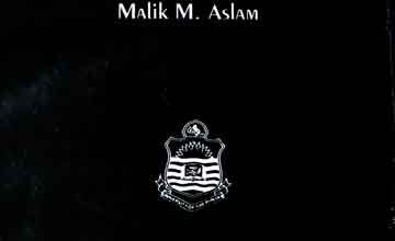 The role of tradition in Islam