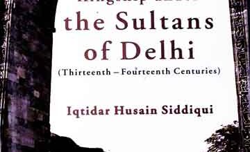 Sultans of Delhi