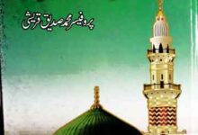 Paghembar-e-Hikmat O Baseerat