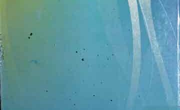 Ghair Muslim Mumalik Main Aabad Musalmano Ke Masail