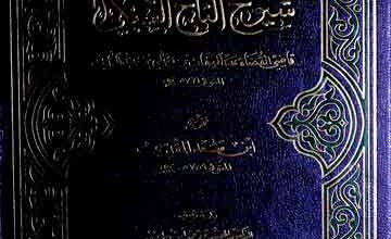 Shuyookh-ul-Taj-al-Subki