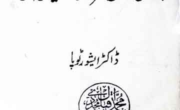 ہندی مسلمان حکمرانوں کے سیاسی اصول 2 Hindi Musalmano ke Siasi Usool