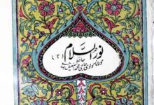 Noor-ul-Islam