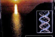 Quran Ke Jadeed Scienci Inkashafat