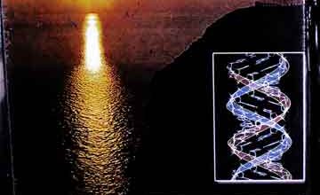 Quran Ke Jadeed Scienci Inkashafat