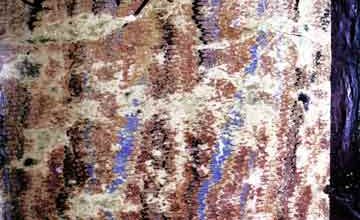 Tarikh Islam Shia Ki Nazar Se