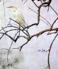 Koi Din Maan Masafir